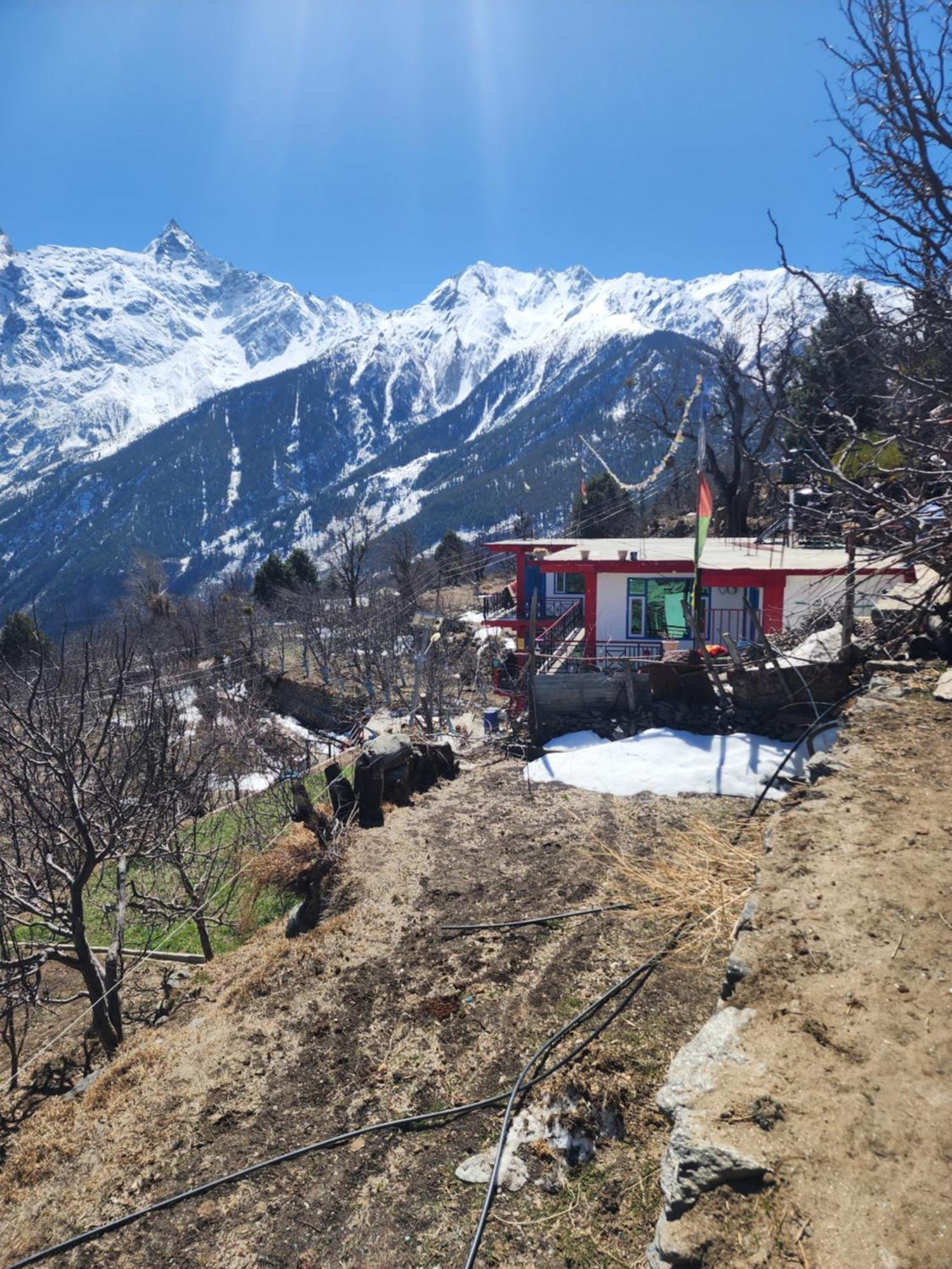 Safarnama Retreat Homestay - All Rooms With Mountain View Kalpa Extérieur photo